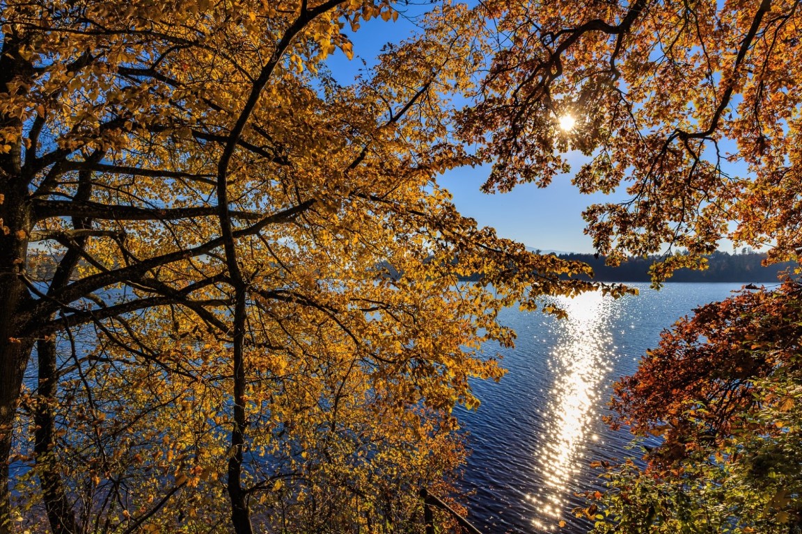 Herbst am Abtsdorfer See