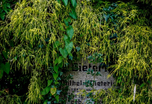 Friedhof July 17-51