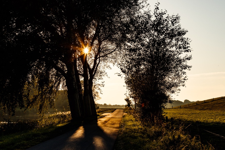 Deichweg-2.jpg