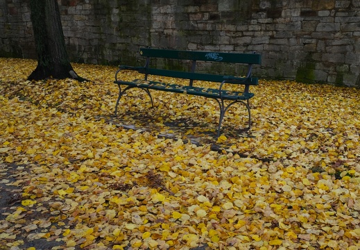 Herbst 4