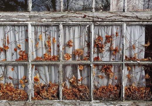 Herbst 9