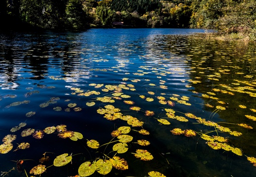 Höglwörther See-18