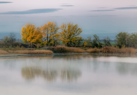 Neusiedler See-13