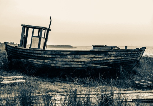 Zingst-16