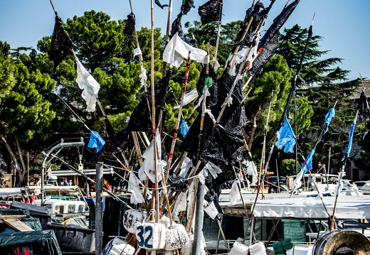 Novigrad-26
