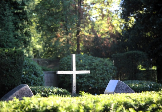 Kreuz mit Haien