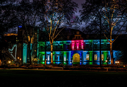 Winterlichter Frankfurt Palmengarten