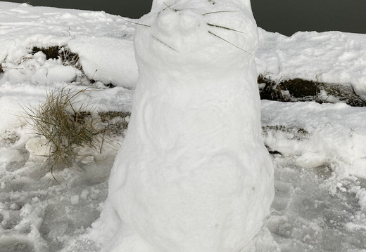 20260104 Schnee 10