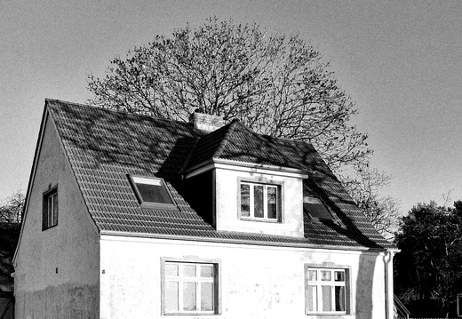 Themen