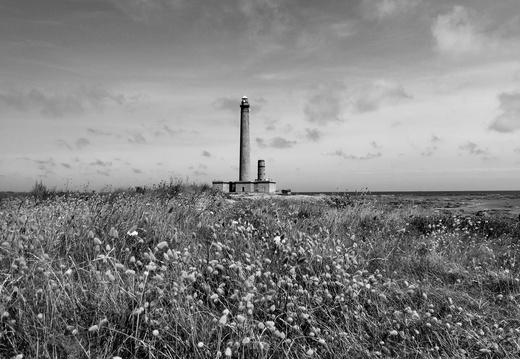 Cotentin (Cap Levi)...