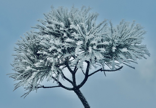 Winter in Büsum I