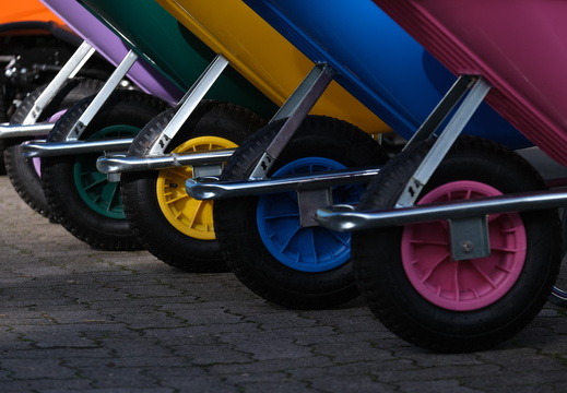 Bunt 5