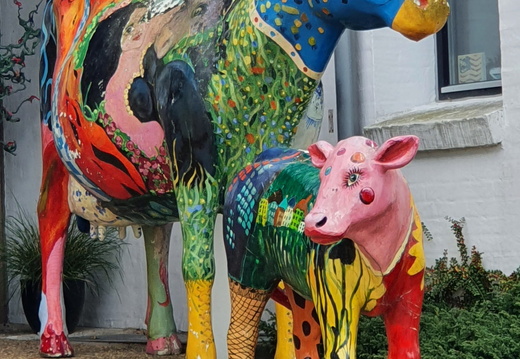 DK Sonderburg