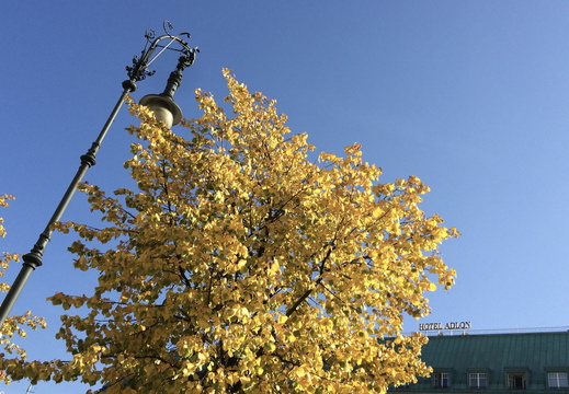 Pariser Platz