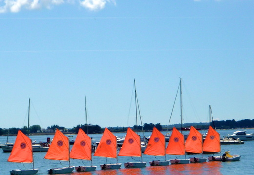 Die Flotte kehrt heim