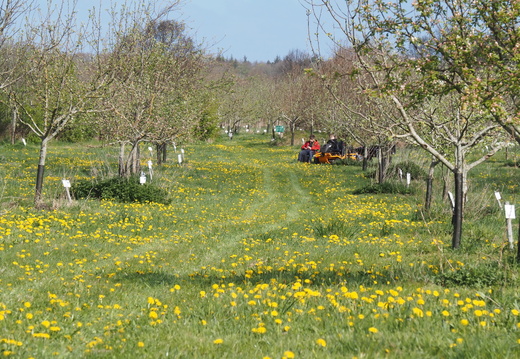 20260426 Bien Galgenberg 01