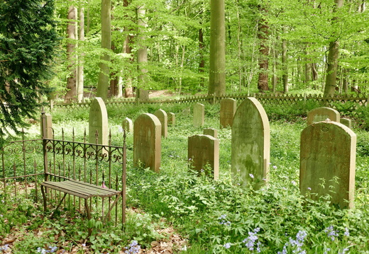 Jüdischer Friedhof in Brockeswalde