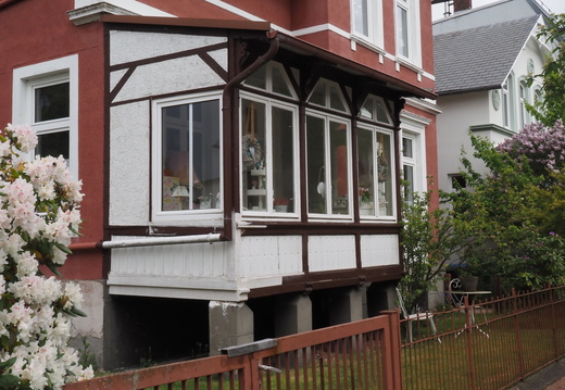 20260512 Wintergarten C 09